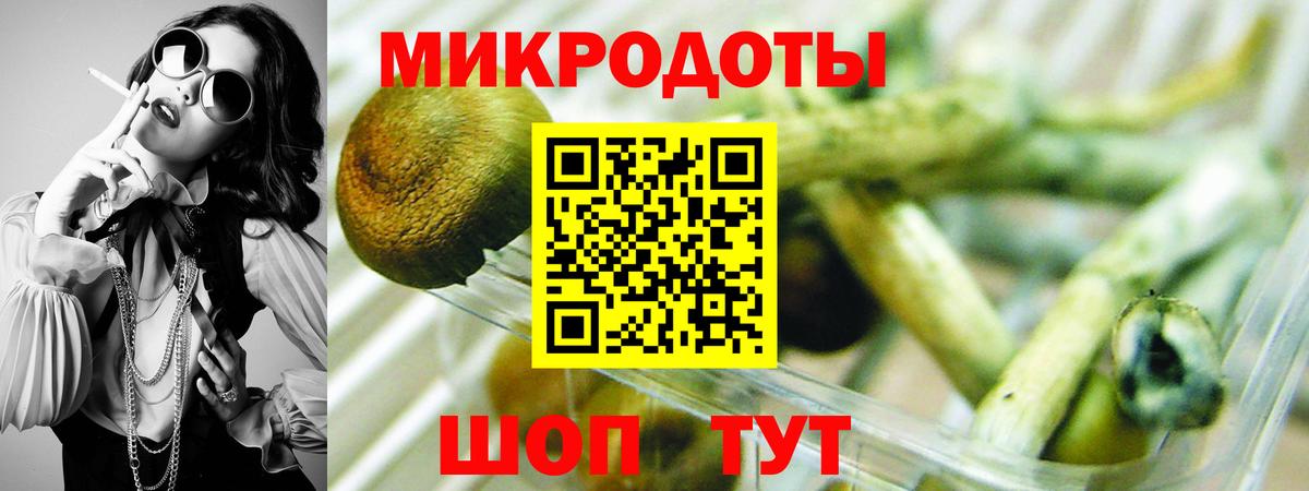 Псилоцибиновые грибы Psilocybe Миллерово